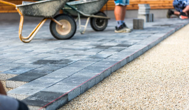 Best Decorative Driveway Pavers  in Minneota, MN