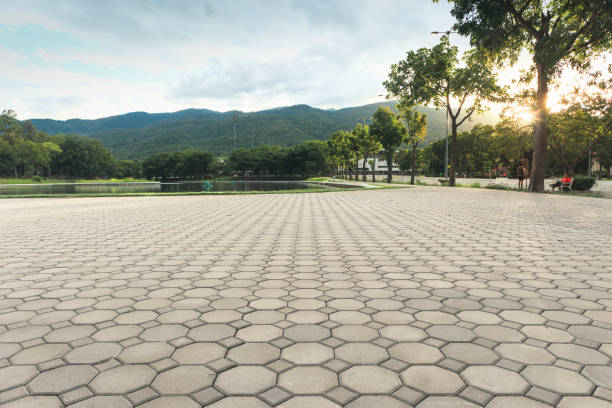 Best Residential Driveway Paver Services  in Minneota, MN